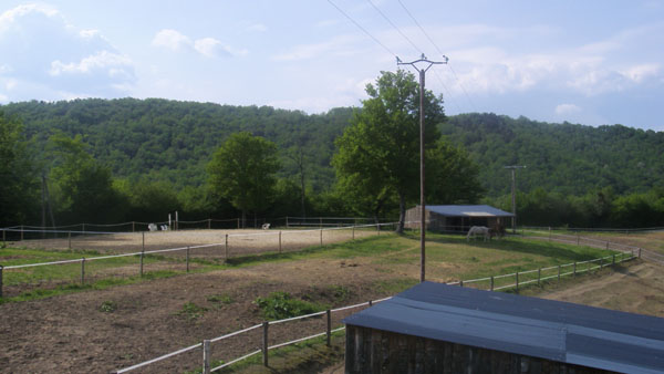 CD22