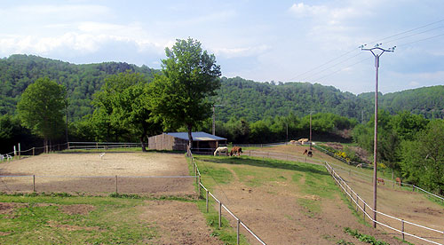 vue du centre equestre