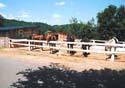 chevaux prets au départ