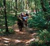sentier boisé